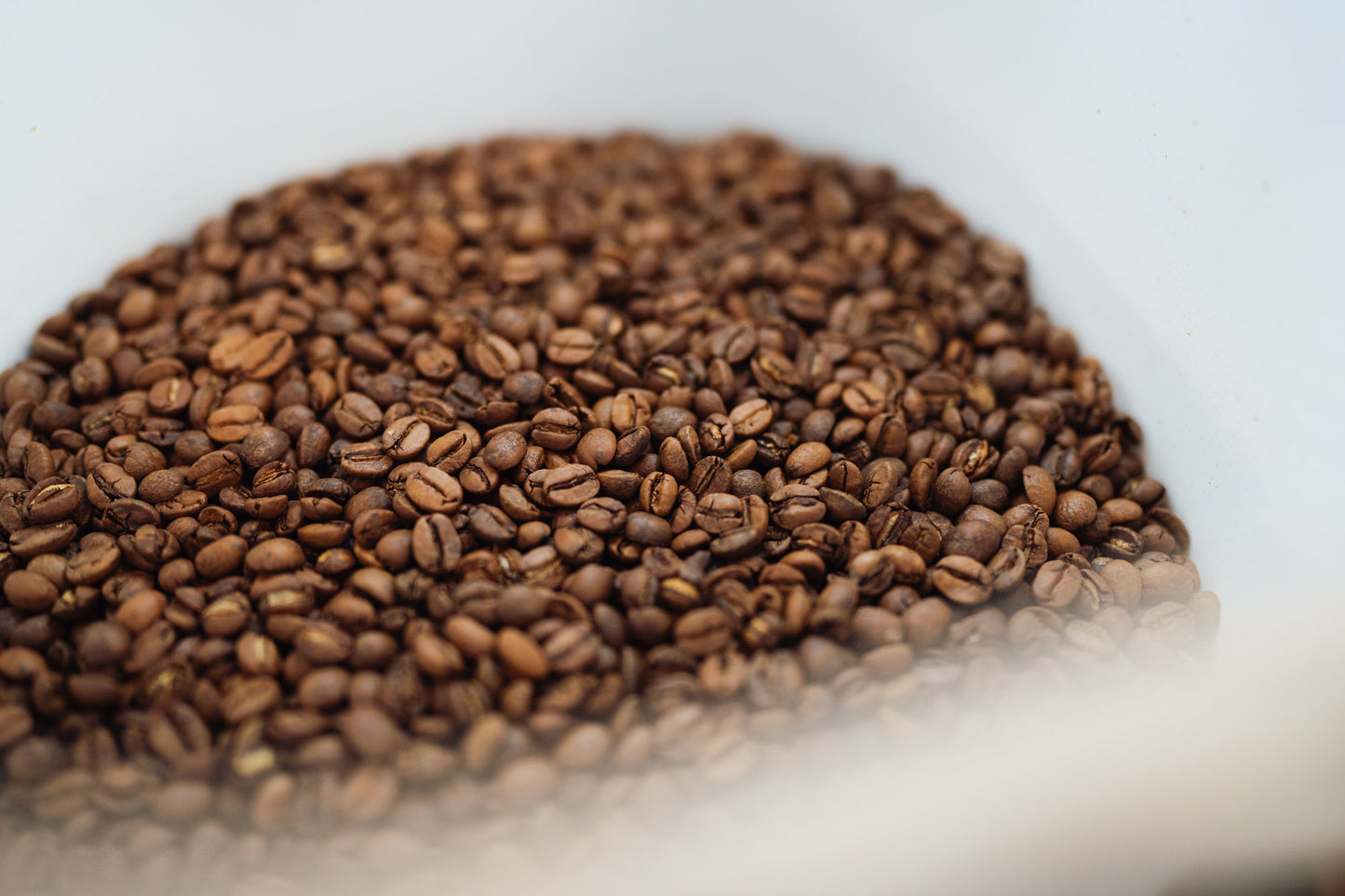 Limitiert - Mexico Anaerobic